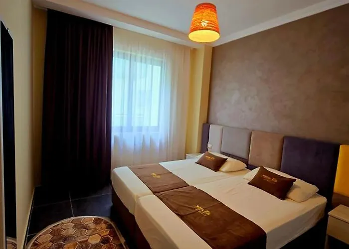 Nova Qerret Zl גולם