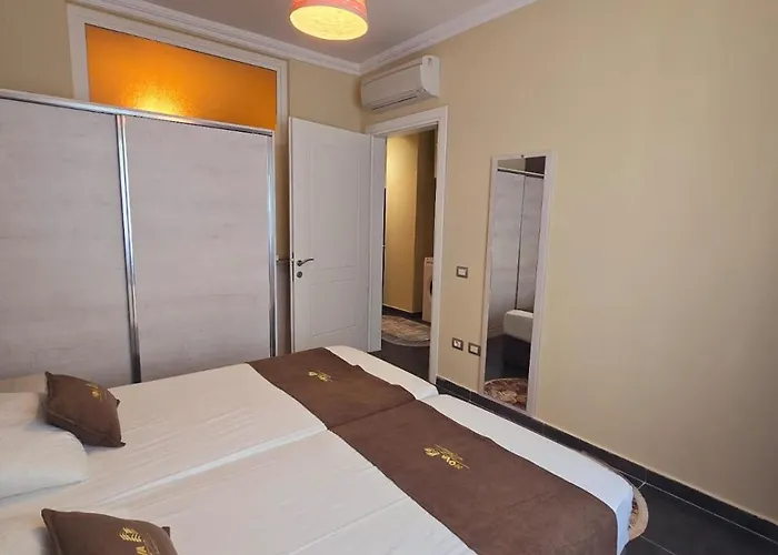 Nova Qerret Zl גולם